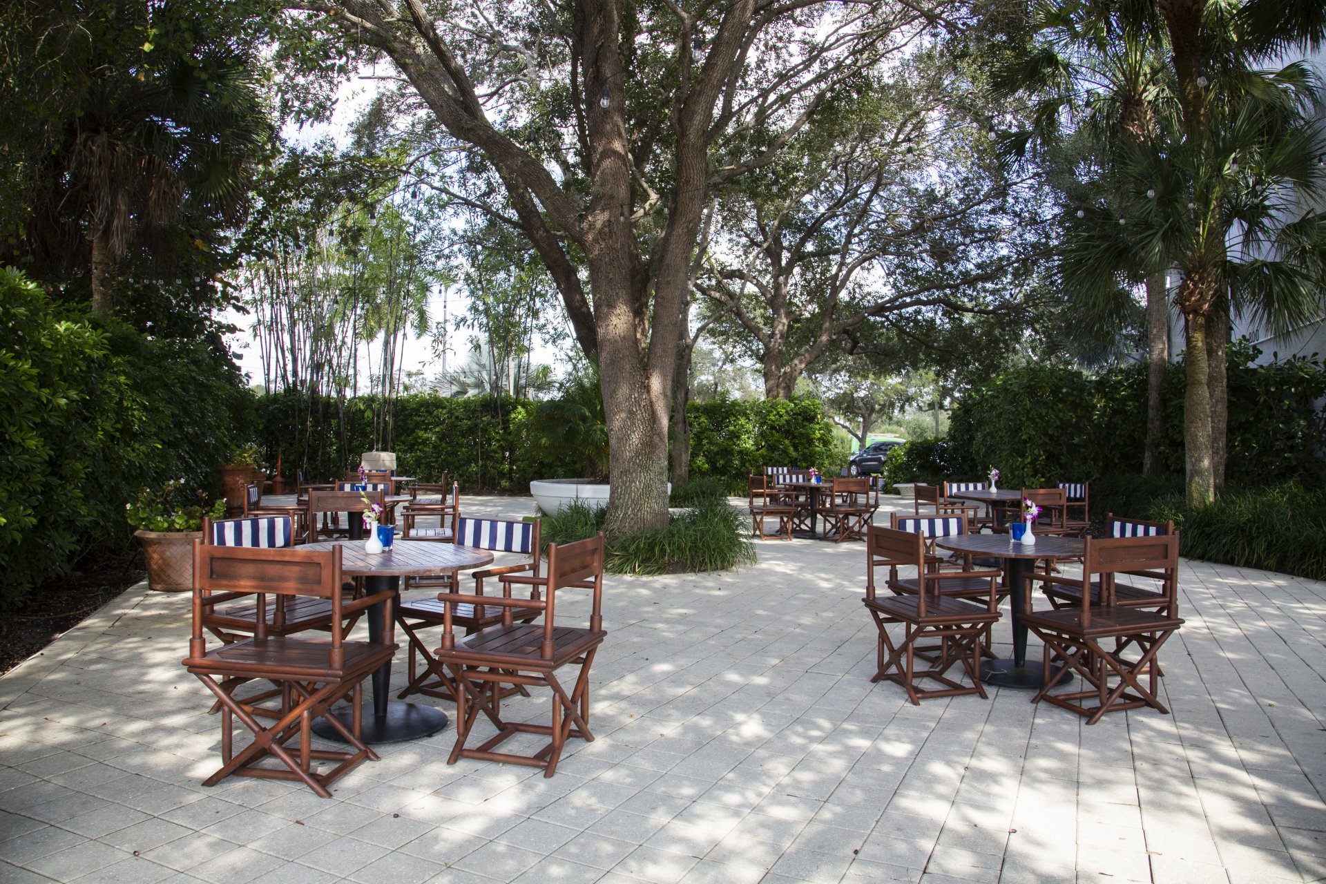 Courtyard garden